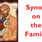 Synod-on-the-Family-image-21